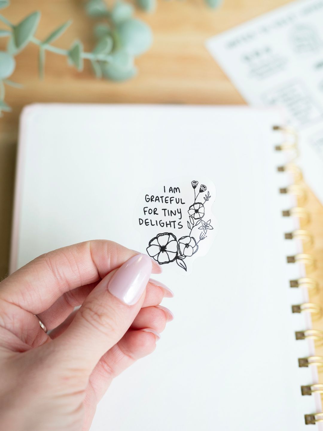 AFFIRMATION Stickers for Planner and Bullet Journals. 12 Fonts to Choo – My  Happy Place Stickers