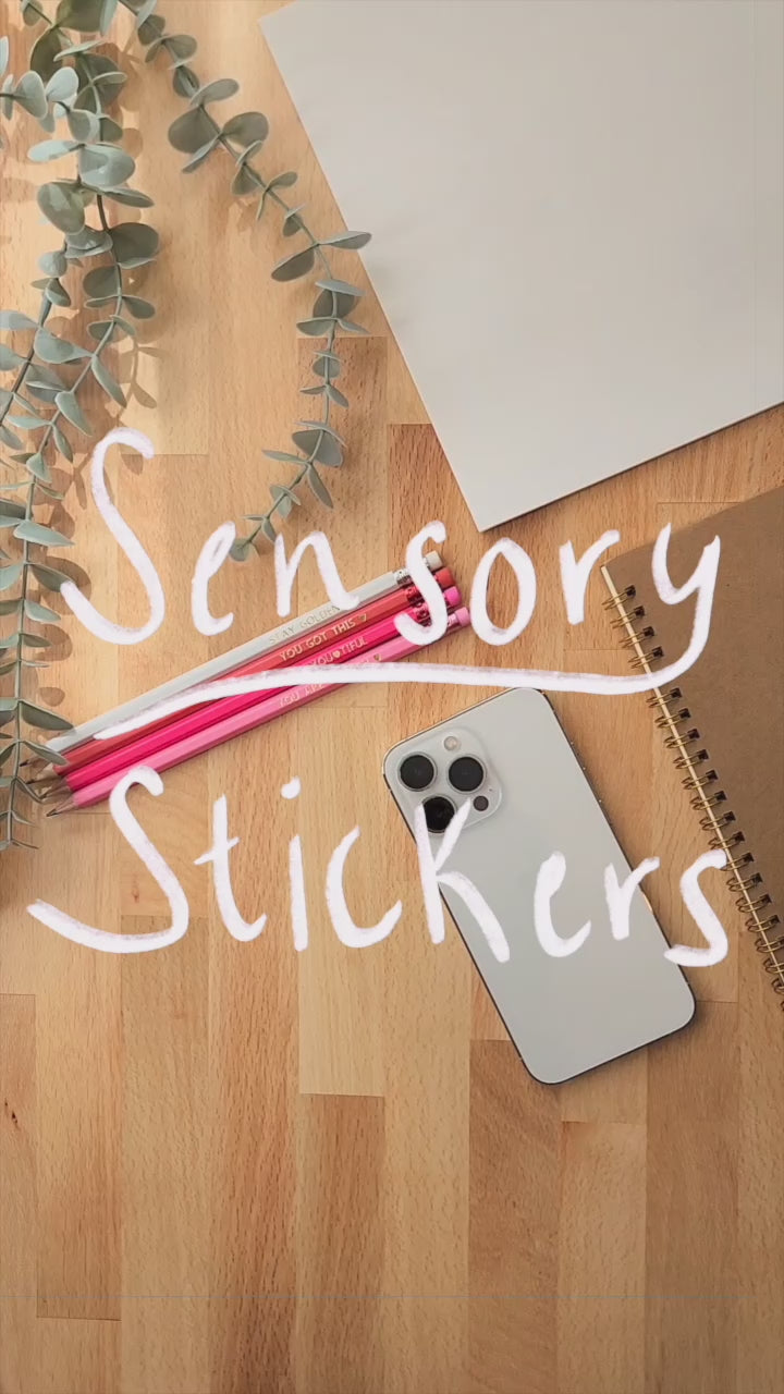 What Went Well Today | Sensory Sticker